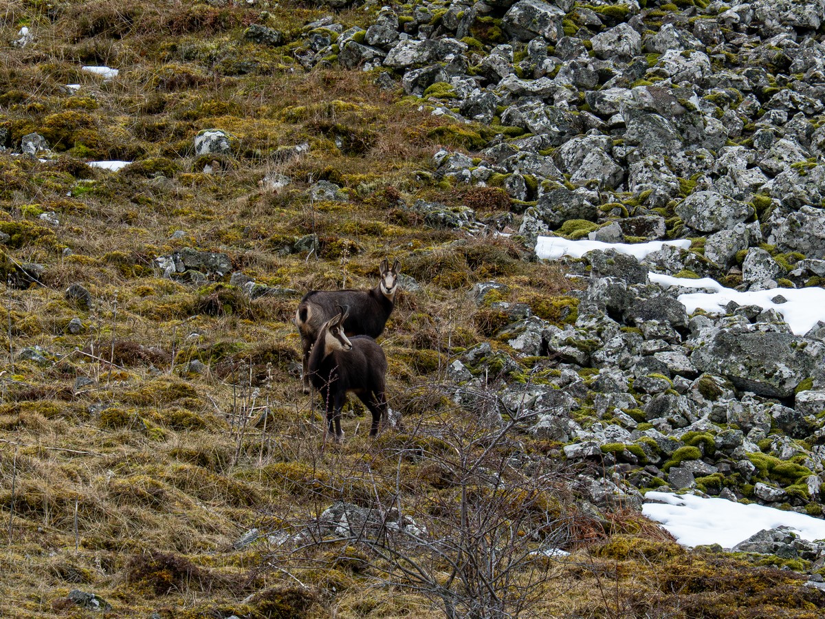 05022026-05 02 2026 (5).jpg